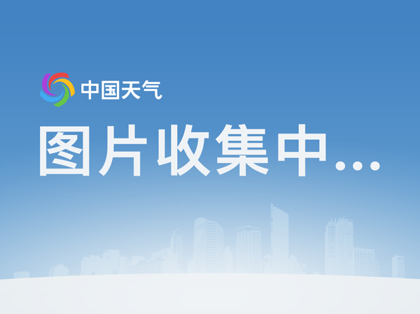 九游官网