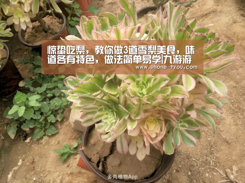 九游游戏