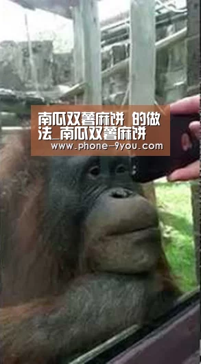 南瓜双薯麻饼 的做法_南瓜双薯麻饼 怎么做_尔东叶的菜谱【九游APP下载】(图1) 九游官网