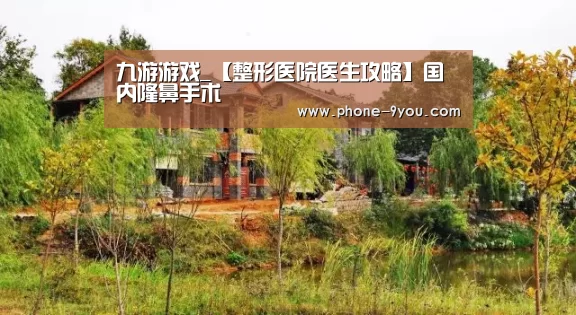 九游游戏_【整形医院医生攻略】国内隆鼻手术(图2) 九游游戏