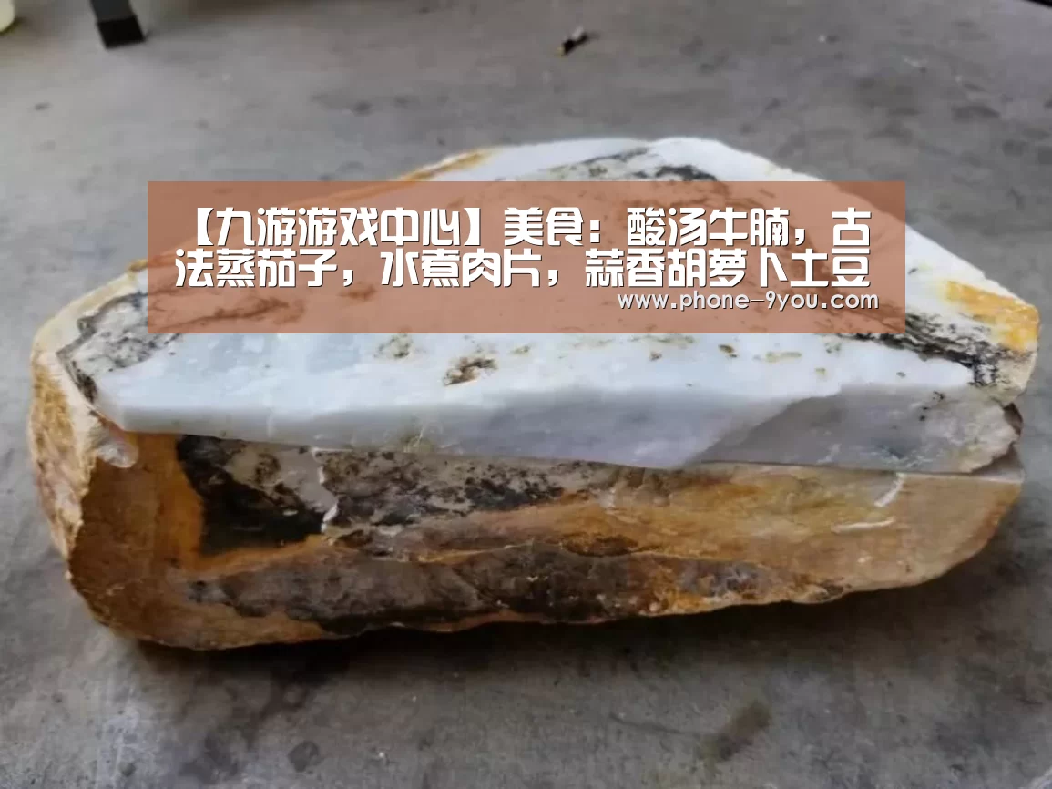 【九游游戏中心】美食:酸汤牛腩,古法蒸茄子,水煮肉片,蒜香胡萝卜土豆条的做法(图1) 九游游戏