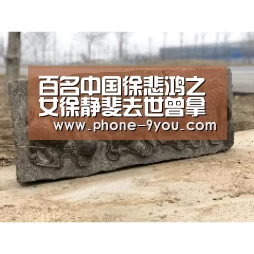 百名中国徐悲鸿之女徐静斐去世曾拿出毕生积蓄成立教育基金会【九游游戏】(图2) 九游官网