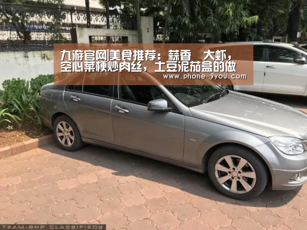 九游官网|美食推荐:蒜香焗大虾,空心菜梗炒肉丝,土豆泥茄盒的做法(图1) 九游游戏