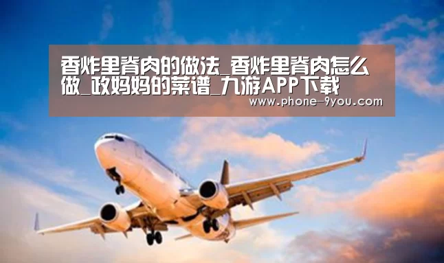 香炸里脊肉的做法_香炸里脊肉怎么做_政妈妈的菜谱_九游APP下载(图1) 九游APP下载