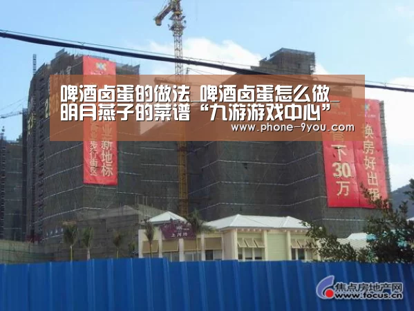 啤酒卤蛋的做法_啤酒卤蛋怎么做_明月燕子的菜谱“九游游戏中心”(图3) 九游APP下载